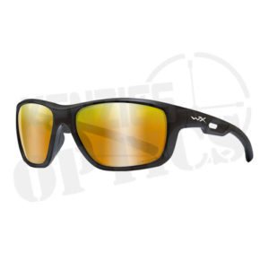 Wiley X WX Aspect Sunglasses