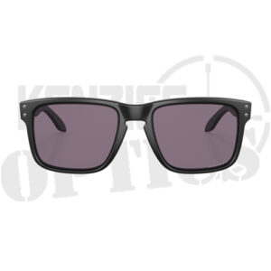 Oakley Holbrook Sunglasses - OO9102-E8