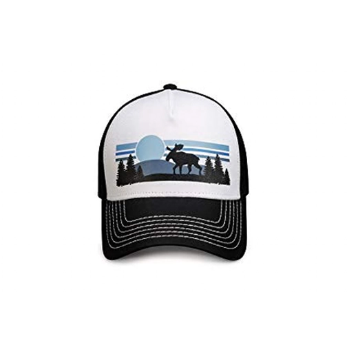 Vortex Moose Scene Hat