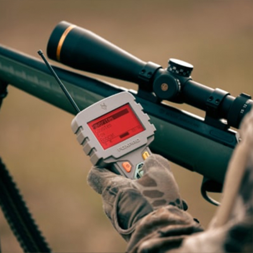 FoxPro Hellcat