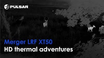 Pulsar Merger LRF XT50