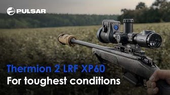 Pulsar Thermion 2 LRF XP60